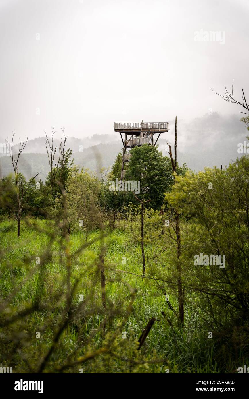 Immagine verticale di una stazione collinare con molti piccoli alberi verdi Foto Stock