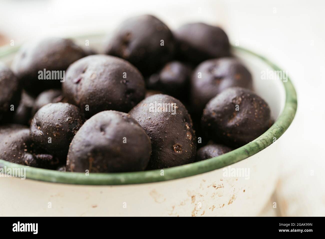 Patata viola (var. Valfi/Königsblau) appena raccolti. Foto Stock