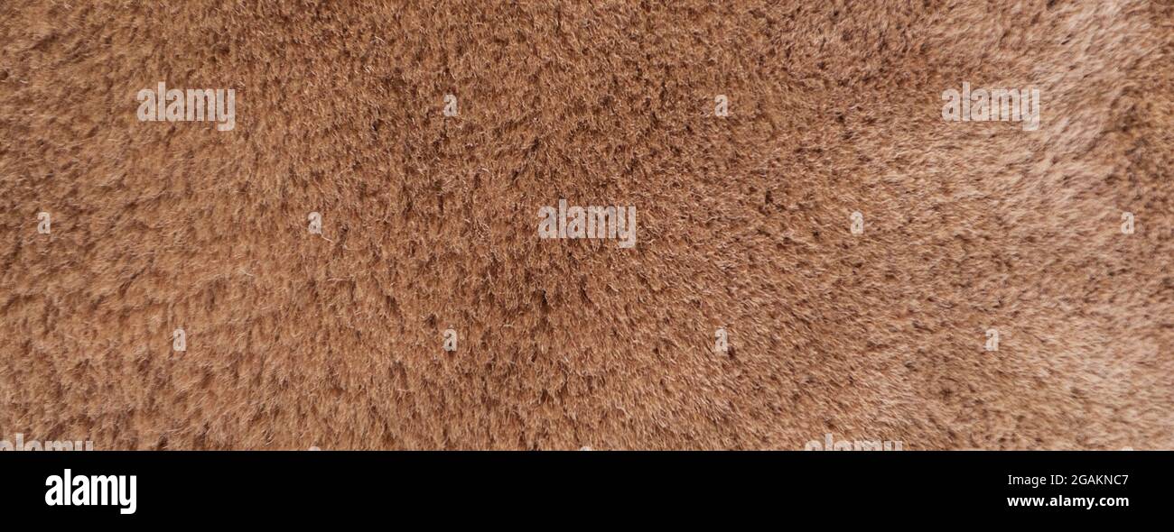 texture panoramica di bella pelle marrone naturale Foto Stock