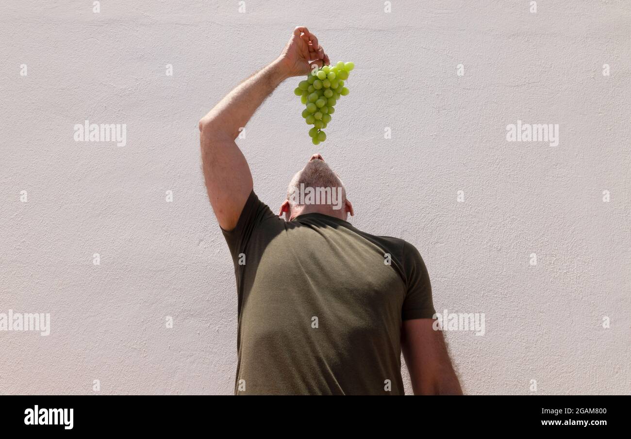 Uomo che tiene alto un mazzo di uve che cercano di mangiarle Foto Stock
