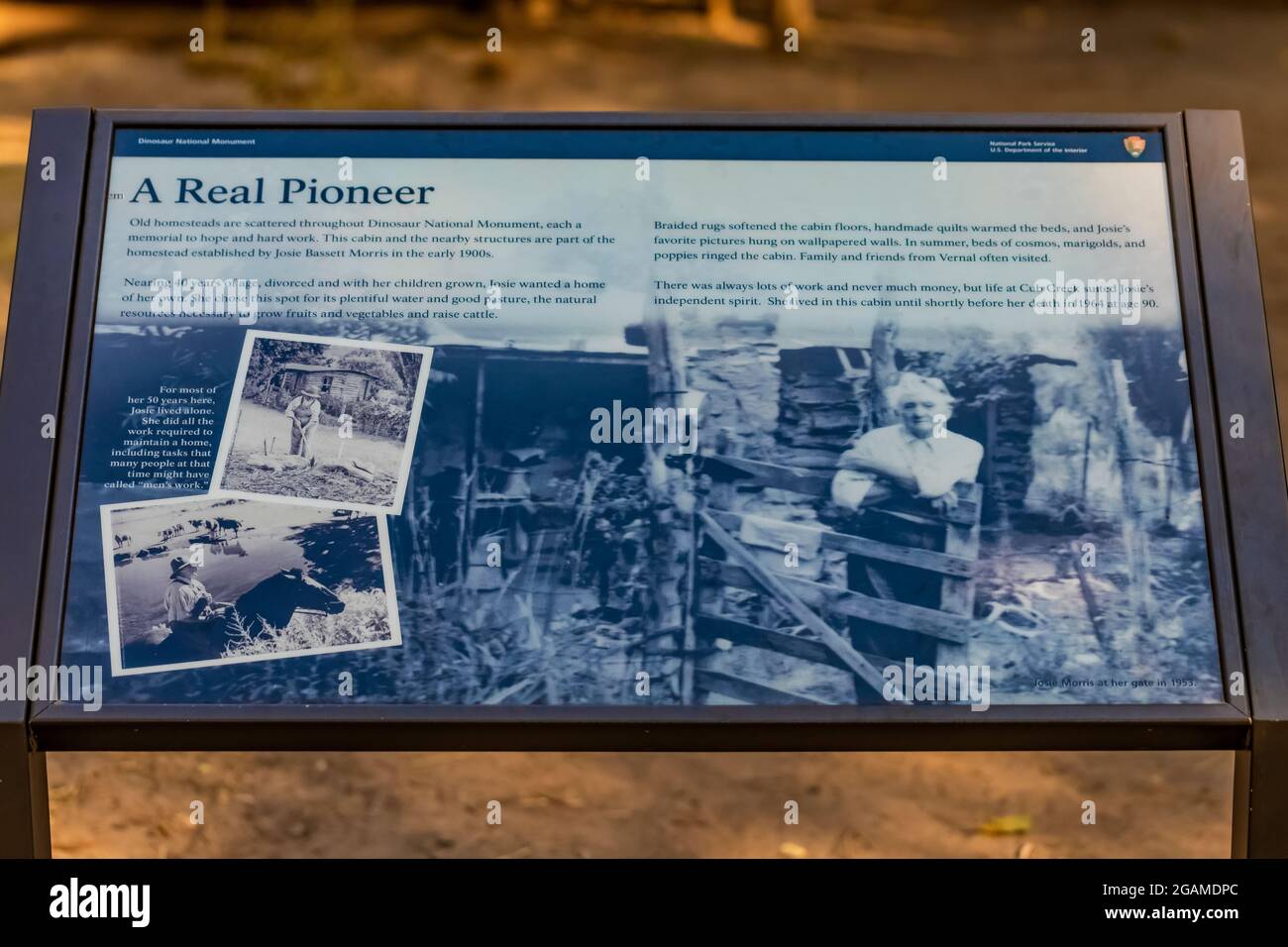 Un segno interpretativo sulla Josie's Cabin, un luogo di casa di Josie Bassett Morris all'inizio del 1900, Dinosaur National Monument, Utah, USA Foto Stock