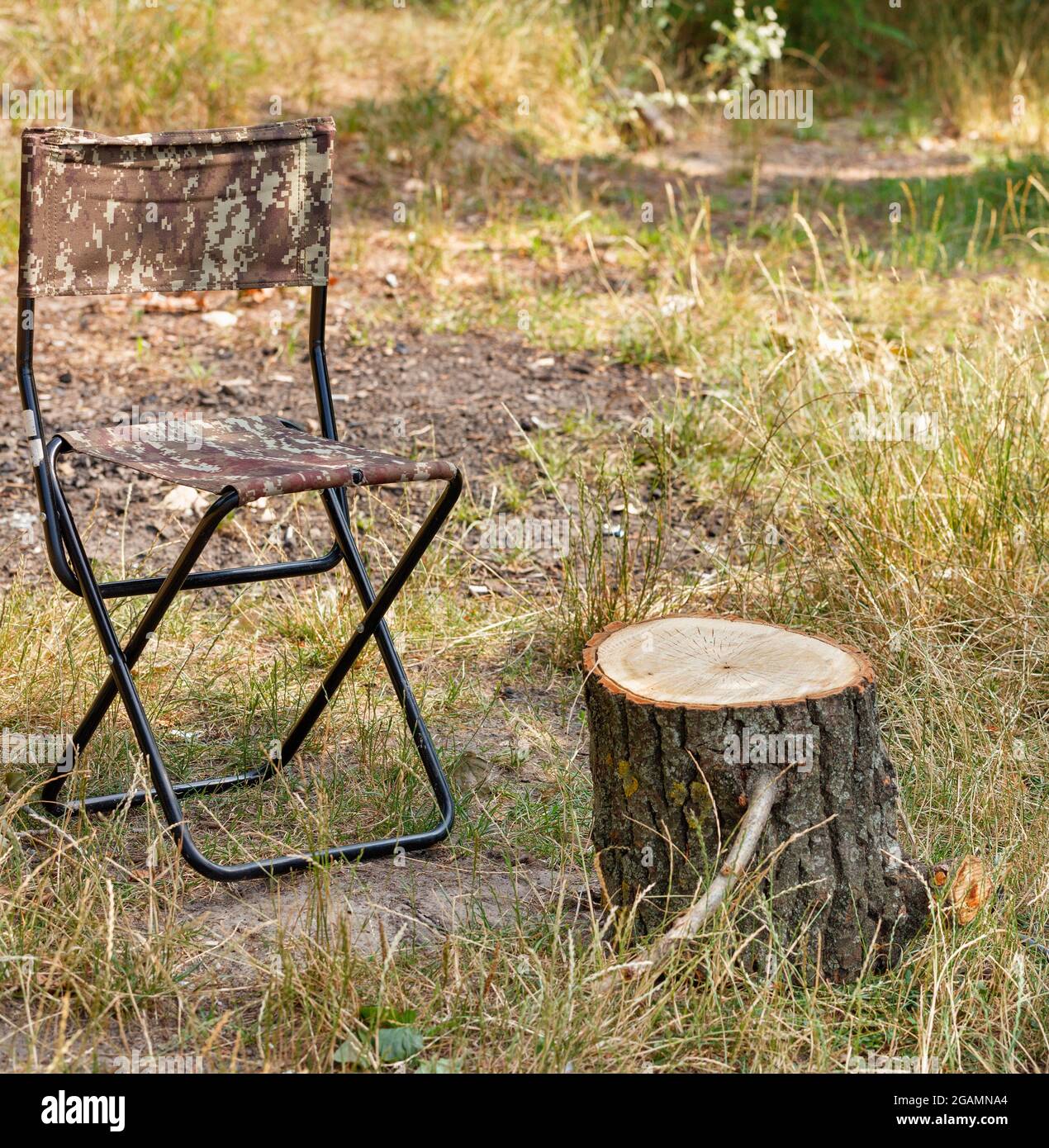 Una sedia di tourist pieghevole di tela siede vicino ad un tavolo di makeshift sotto forma di un ceppo di legno. Foto Stock