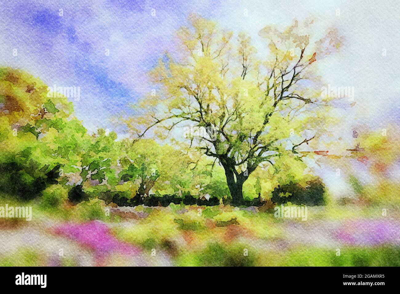 immagine digitale ad acquerello di un paesaggio idilliaco con un cielo blu nuvoloso, un grande albero in primavera circondato da verde e aiuole rosa Foto Stock