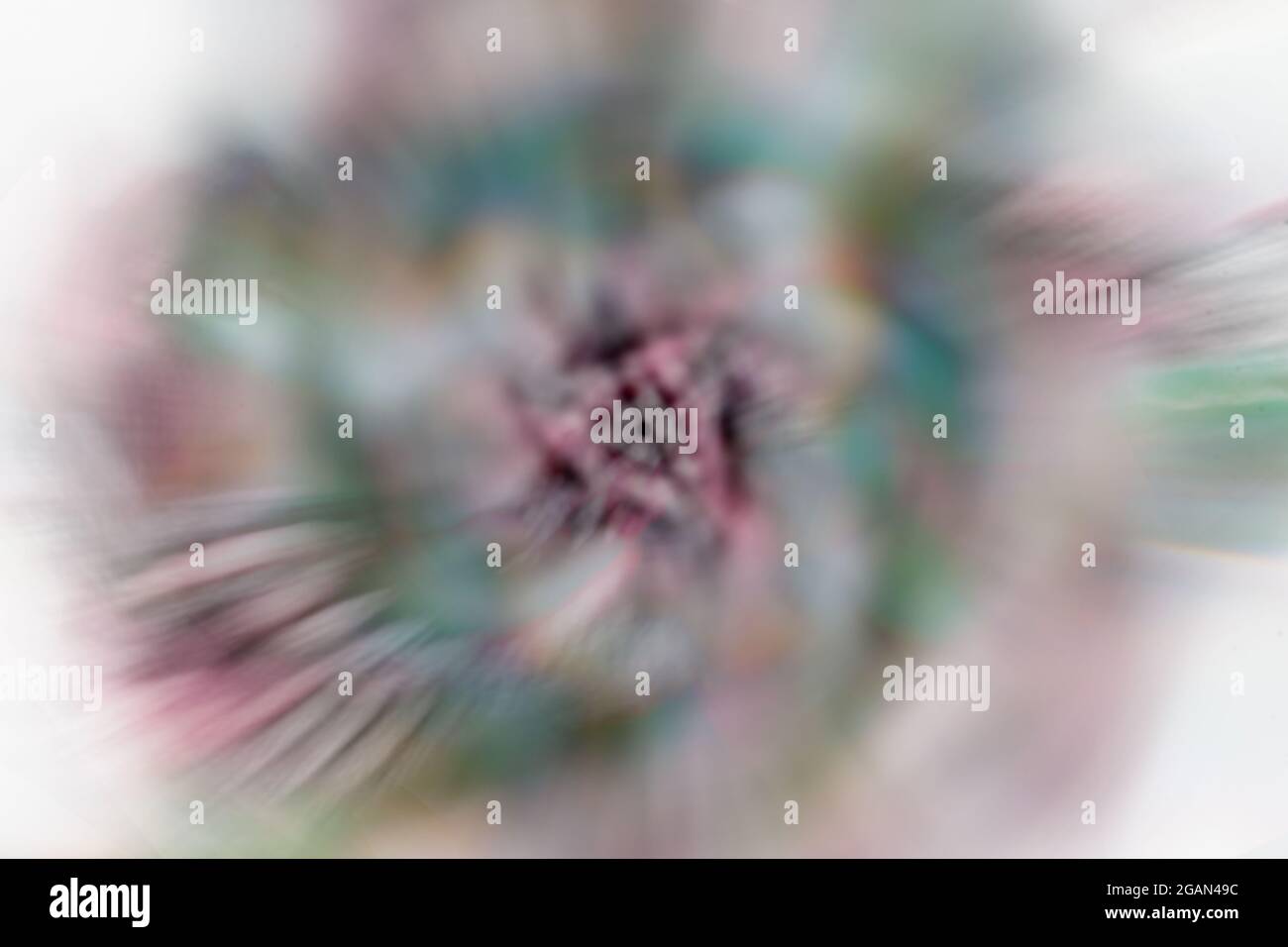 l'illustrazione astratta del collage della foto nei colori rosa, verde e bianco crea un modello a spirale, un disegno sognante, rosa di fantasia-come Foto Stock