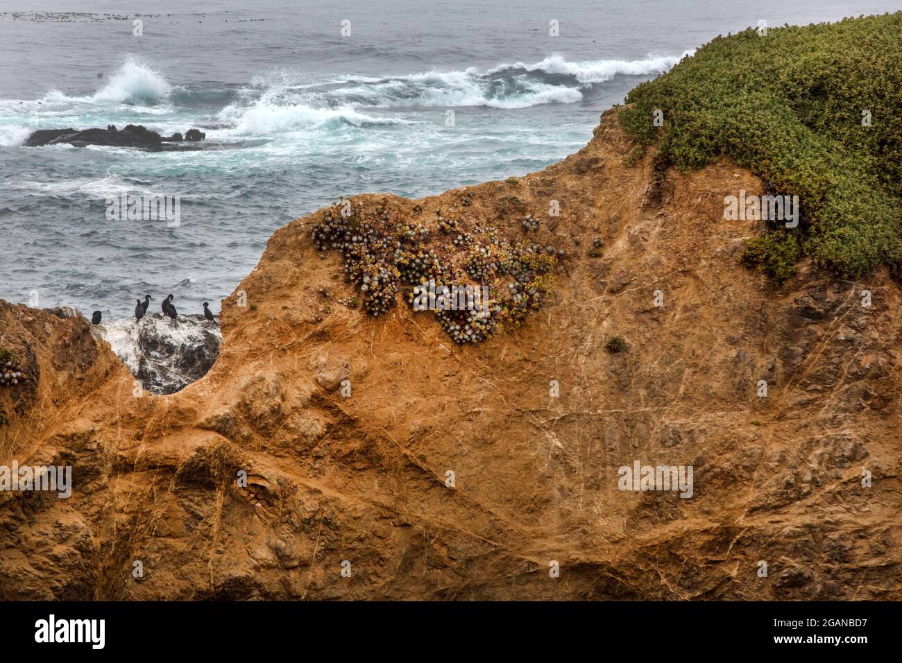 Vista dell'Oceano Pacifico sulla costa californiana a Mendocino, Stati Uniti. Foto Stock