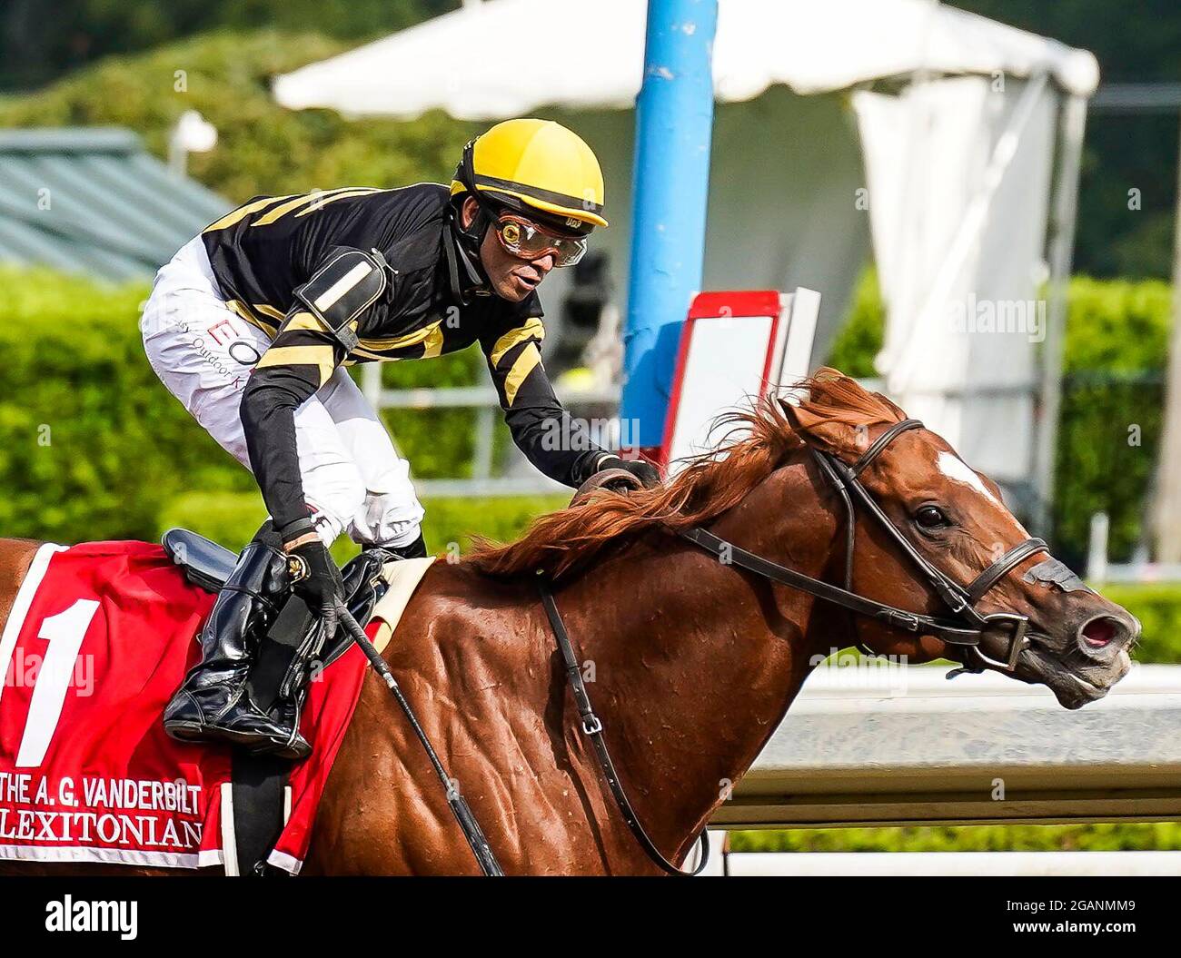 Saratoga Springs, NY, Stati Uniti. 31 luglio 2021. 31 luglio 2021: Lexitonian n. 1, guidato dal fantino Jose Lezcano combatte contro la riserva speciale n. 9 e il fantino Joel Rosario per vincere il grado 1 Alfred G. Vanderbilt handicap al Saratoga Race Course di Saratoga Springs, N.Y. il 31 luglio 2021. DaN HearyEclipse SportswireCSM/Alamy Live News Foto Stock