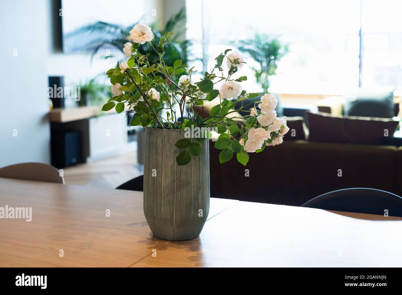 Moderno design degli interni per ufficio. Foto Stock