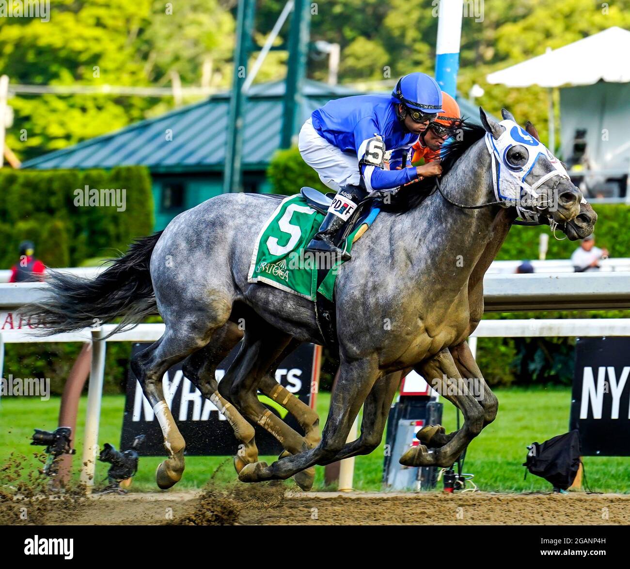 Saratoga Springs, NY, Stati Uniti. 31 luglio 2021. 31 luglio 2021: Essential Quality n° 5, guidato dal fantino Luis Saez, vince il Grade 2 Jim Dandy Stakes, una gara preparatoria per i Grade 1 Travers al Saratoga Race Course di Saratoga Springs, N.Y. il 31 luglio 2021. DaN HearyEclipse SportswireCSM/Alamy Live News Foto Stock