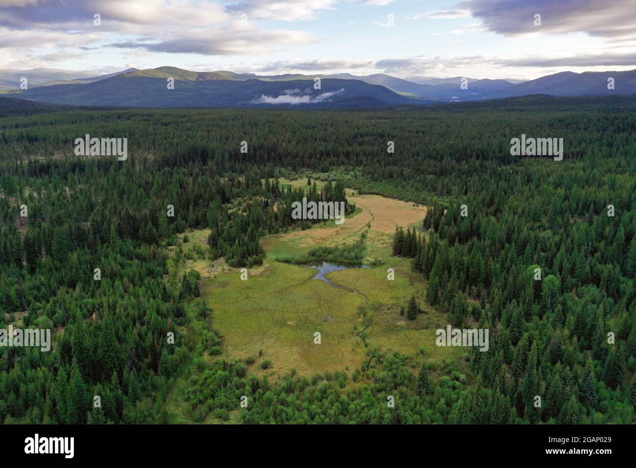 Vista sulle Purcell Mountains in autunno. Yaak Valley, Montana nord-occidentale. (Foto di Randy Beacham) Foto Stock