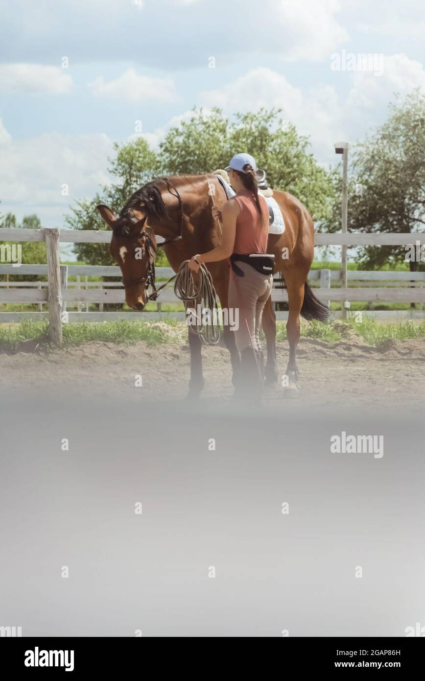 Jockey femminile con il suo cavallo marrone scuro nell'arena sabbiosa con un recinto di legno. Preparazione per la gara di equitazione. La ragazza sta tenendo la corda di piombo del cavallo e fissando la sua briglia. Foto Stock