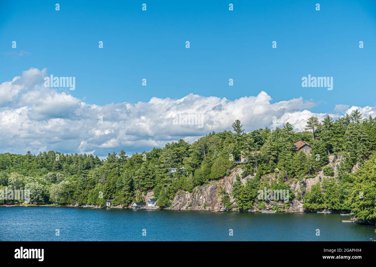 Lago di foresta in estate. Muskoka. Canada Foto Stock