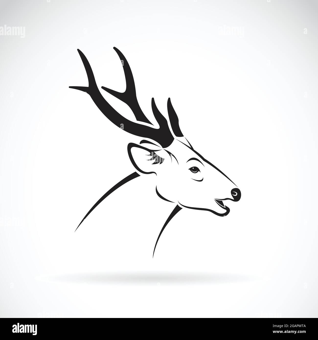 Vettore di una testa di cervo su sfondo bianco. Logo Wild Animals. Illustrazione vettoriale a livelli facilmente modificabile. Animali selvatici. Illustrazione Vettoriale