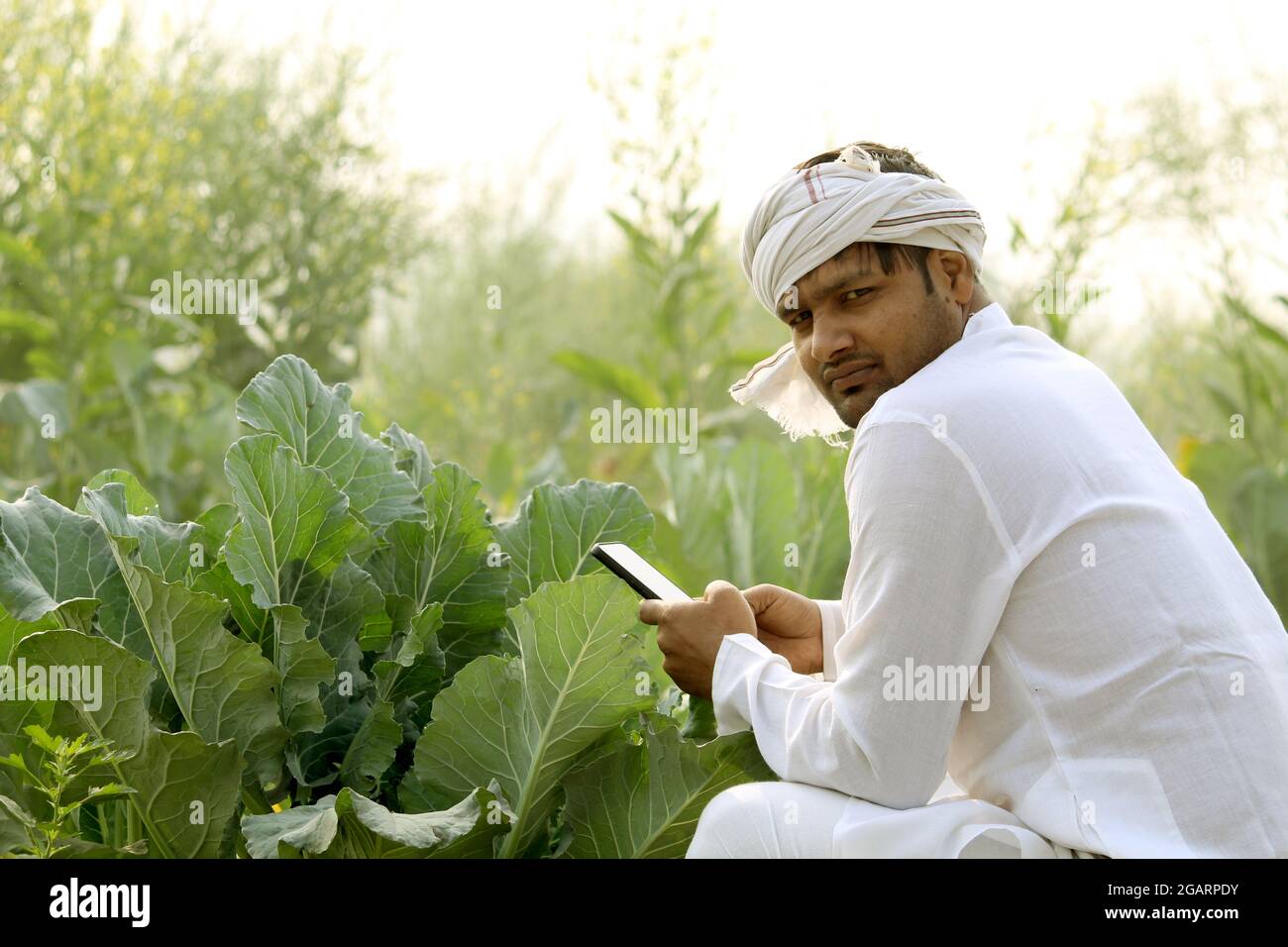 felice agricoltore indiano Foto Stock