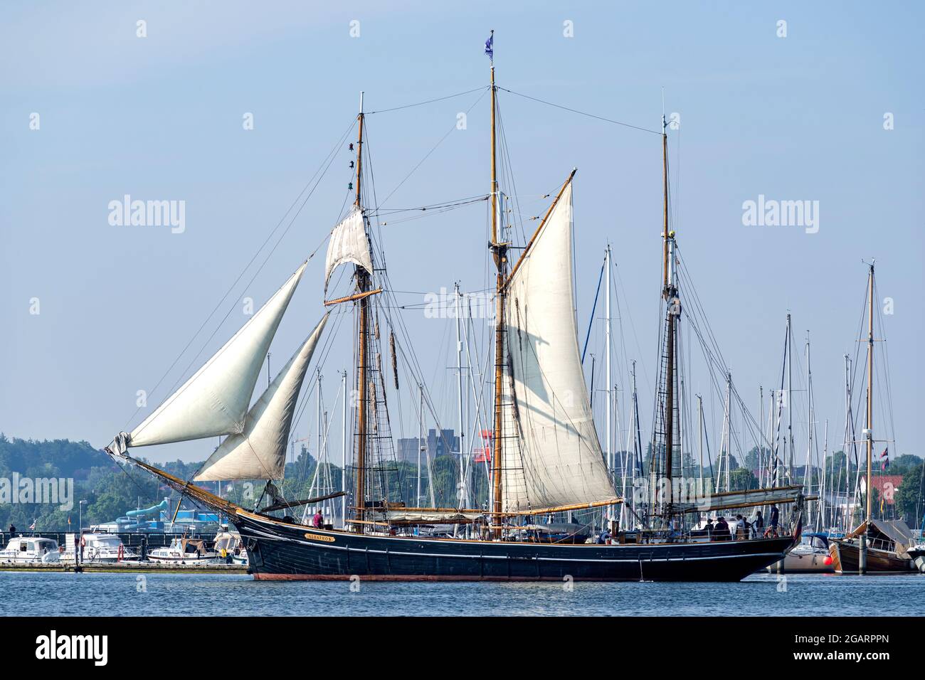 Goletta ALBATROS a tre alberi nella baia di Eckernförde Foto Stock