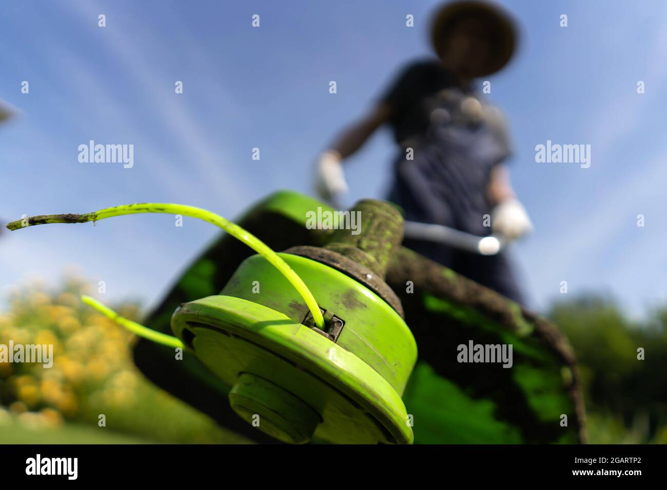 Un primo piano di un giovane uomo con un tosaerba che si prende cura dell'erba nel cortile. Foto Stock