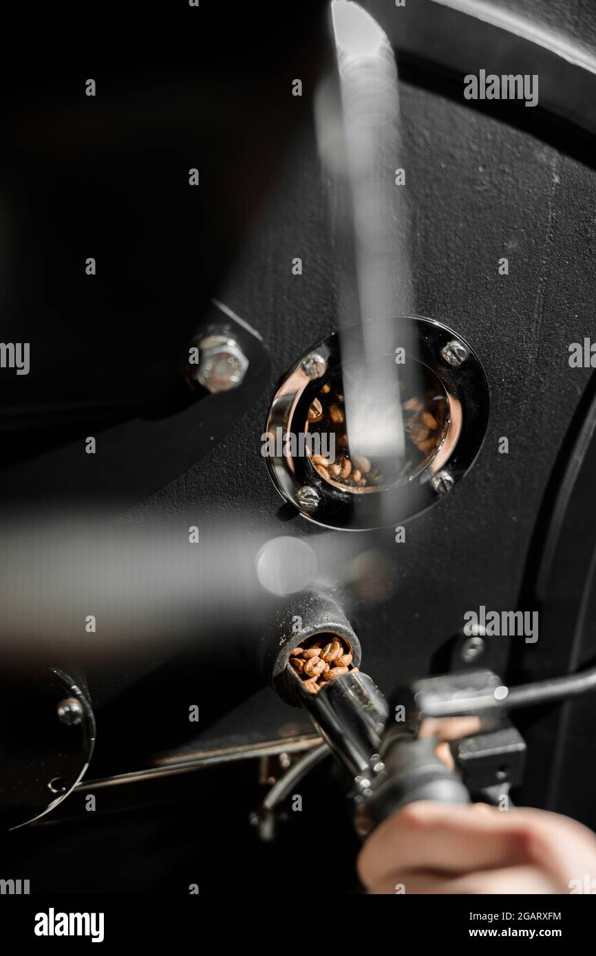 Lavorazione del caffè. Torrefazione, tostatura e fagioli freschi Foto Stock