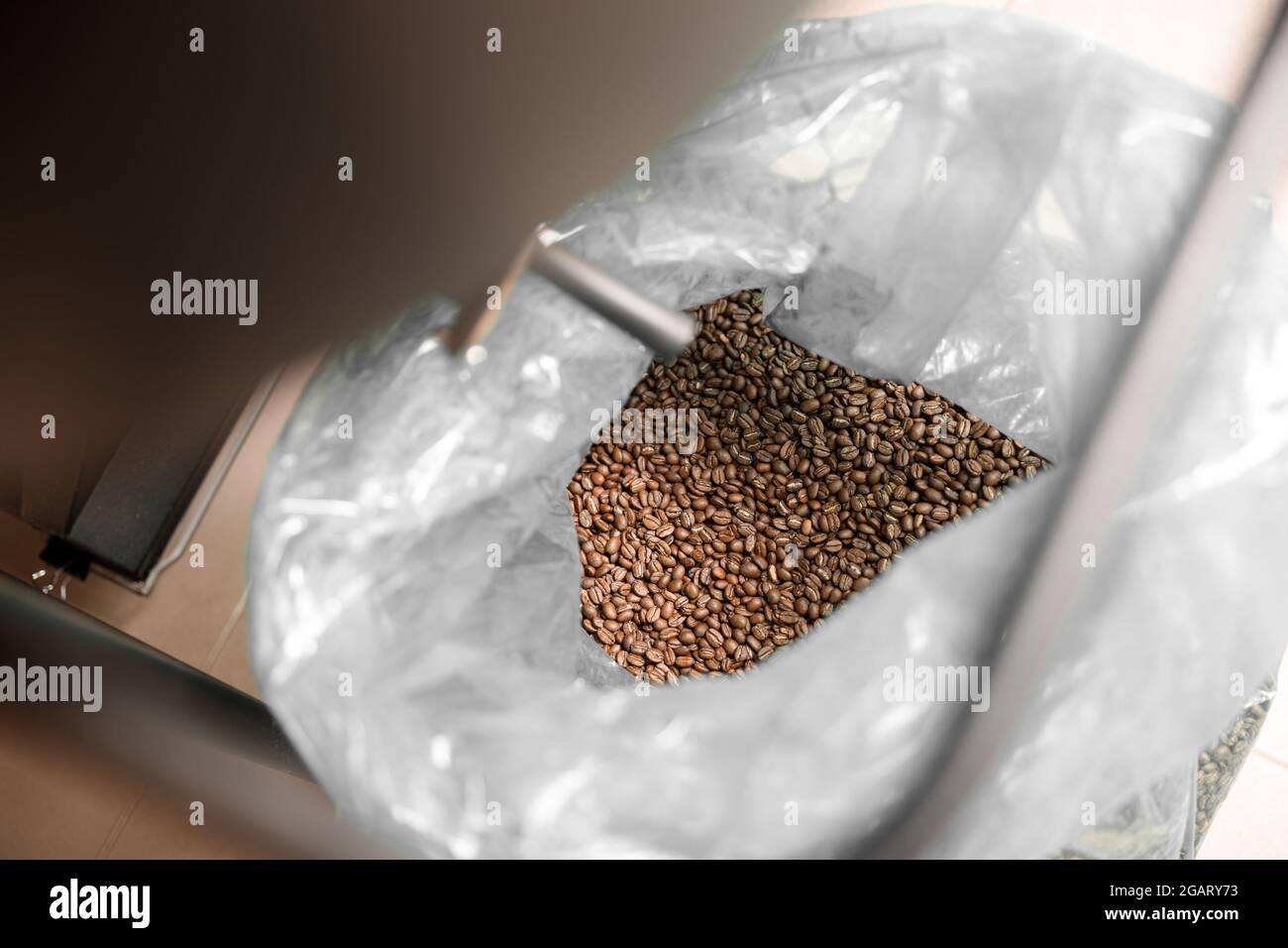 Lavorazione del caffè. Torrefazione, tostatura e fagioli freschi Foto Stock