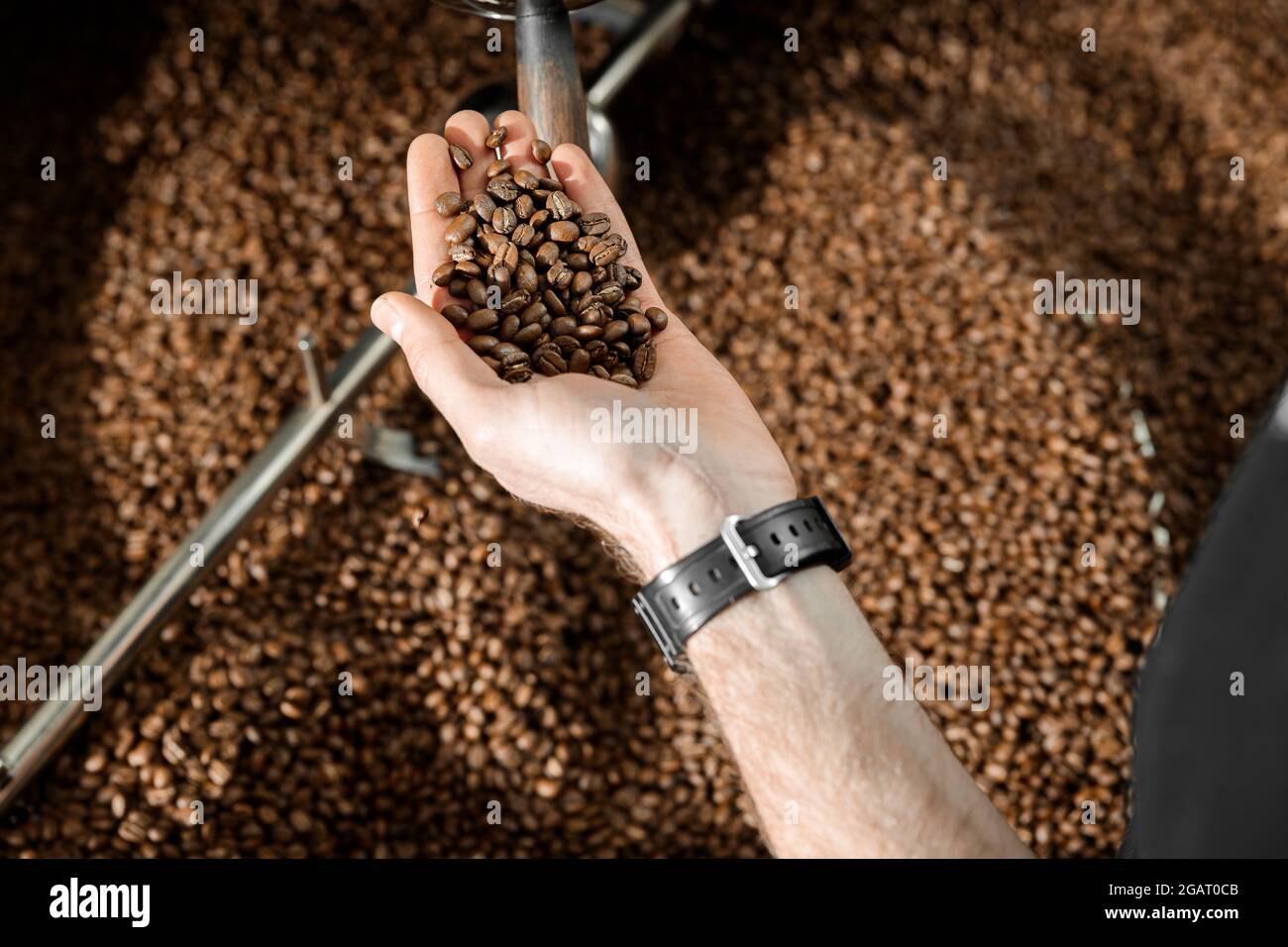 Lavorazione del caffè. Torrefazione, tostatura e fagioli freschi Foto Stock
