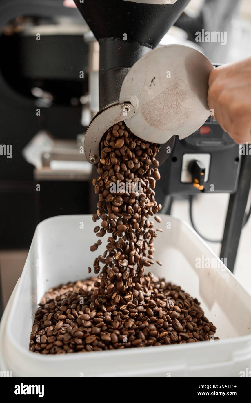 Lavorazione del caffè. Torrefazione, tostatura e fagioli freschi Foto Stock