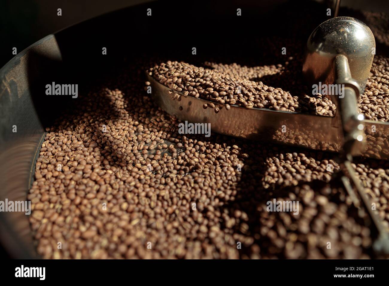 Lavorazione del caffè. Torrefazione, tostatura e fagioli freschi Foto Stock