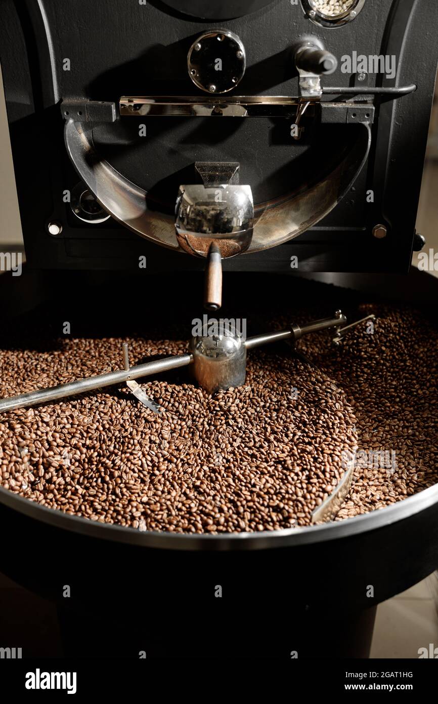 Lavorazione del caffè. Torrefazione, tostatura e fagioli freschi Foto Stock