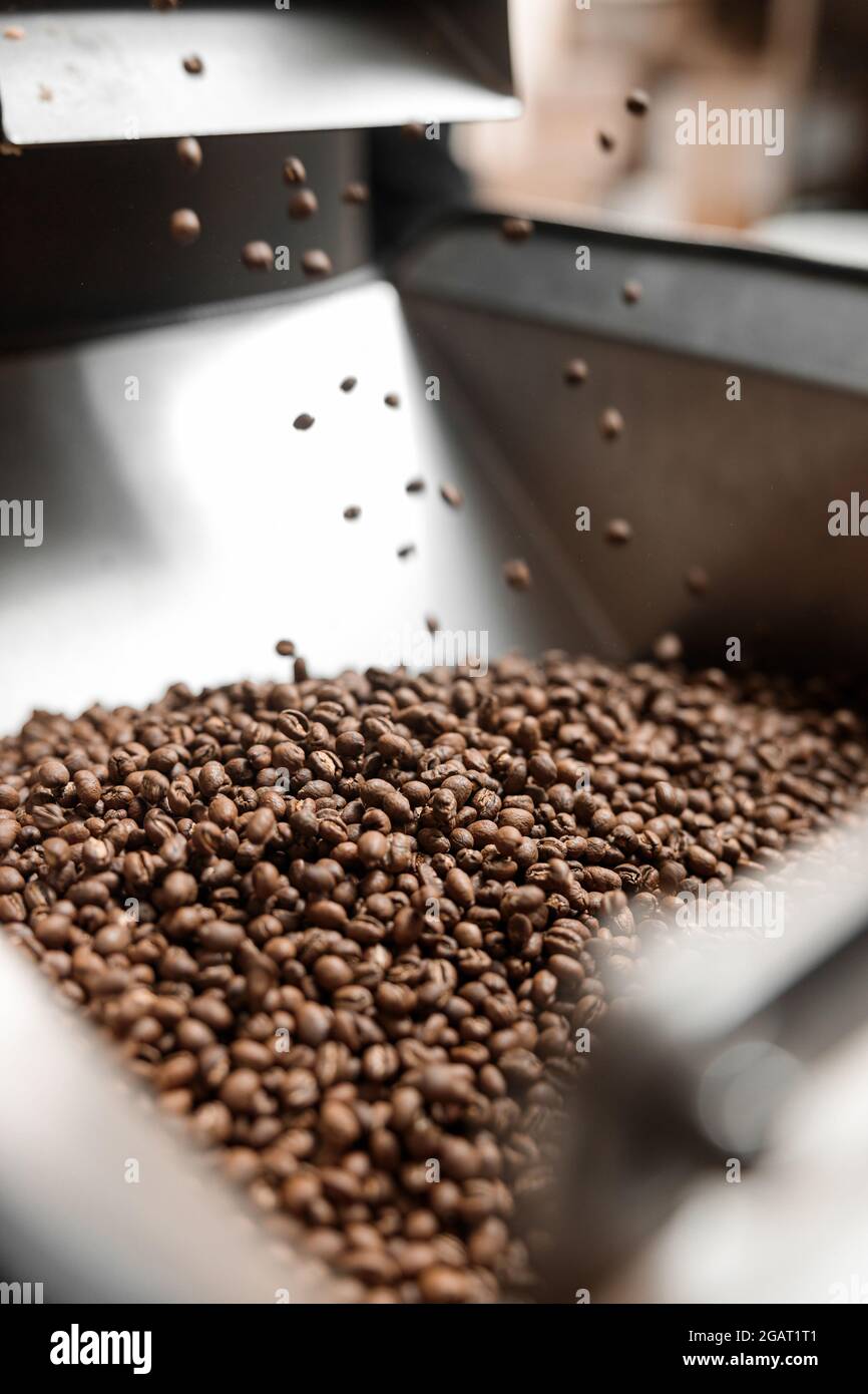 Lavorazione del caffè. Torrefazione, tostatura e fagioli freschi Foto Stock