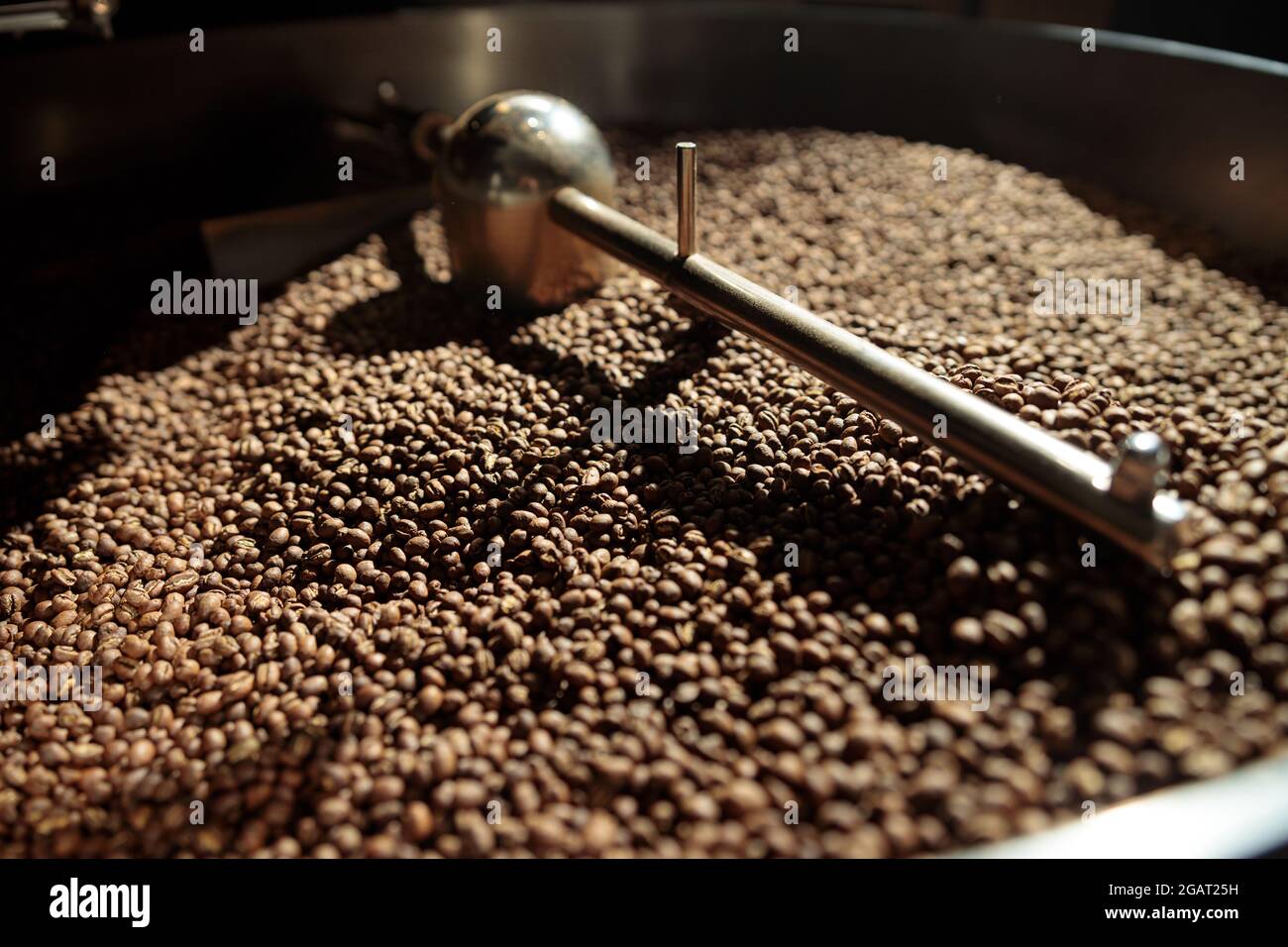 Lavorazione del caffè. Torrefazione, tostatura e fagioli freschi Foto Stock