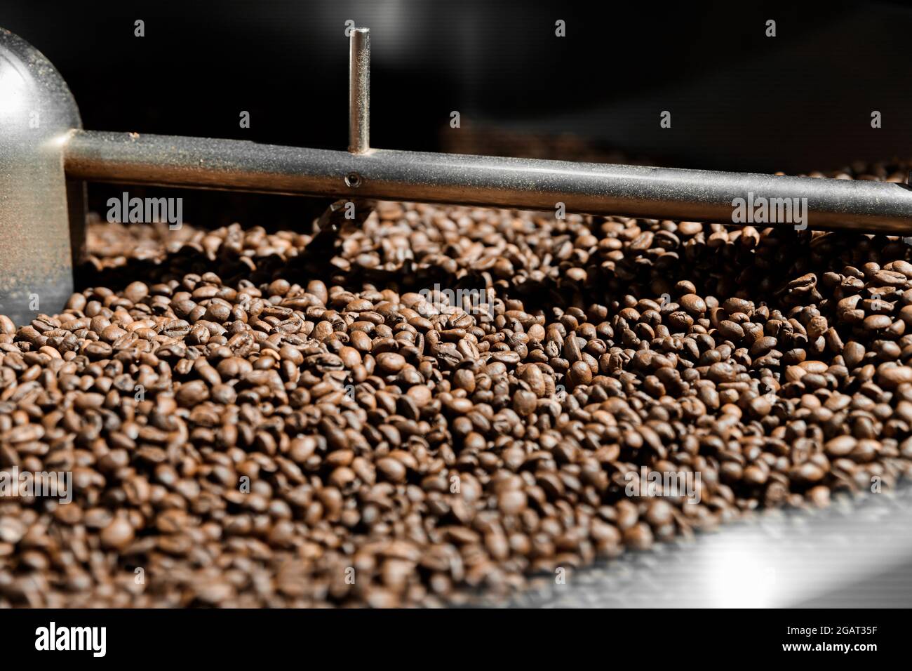 Lavorazione del caffè. Torrefazione, tostatura e fagioli freschi Foto Stock