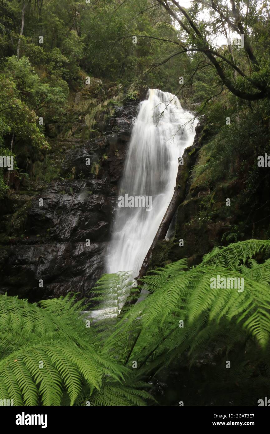 Cascata in Tasmania Foto Stock