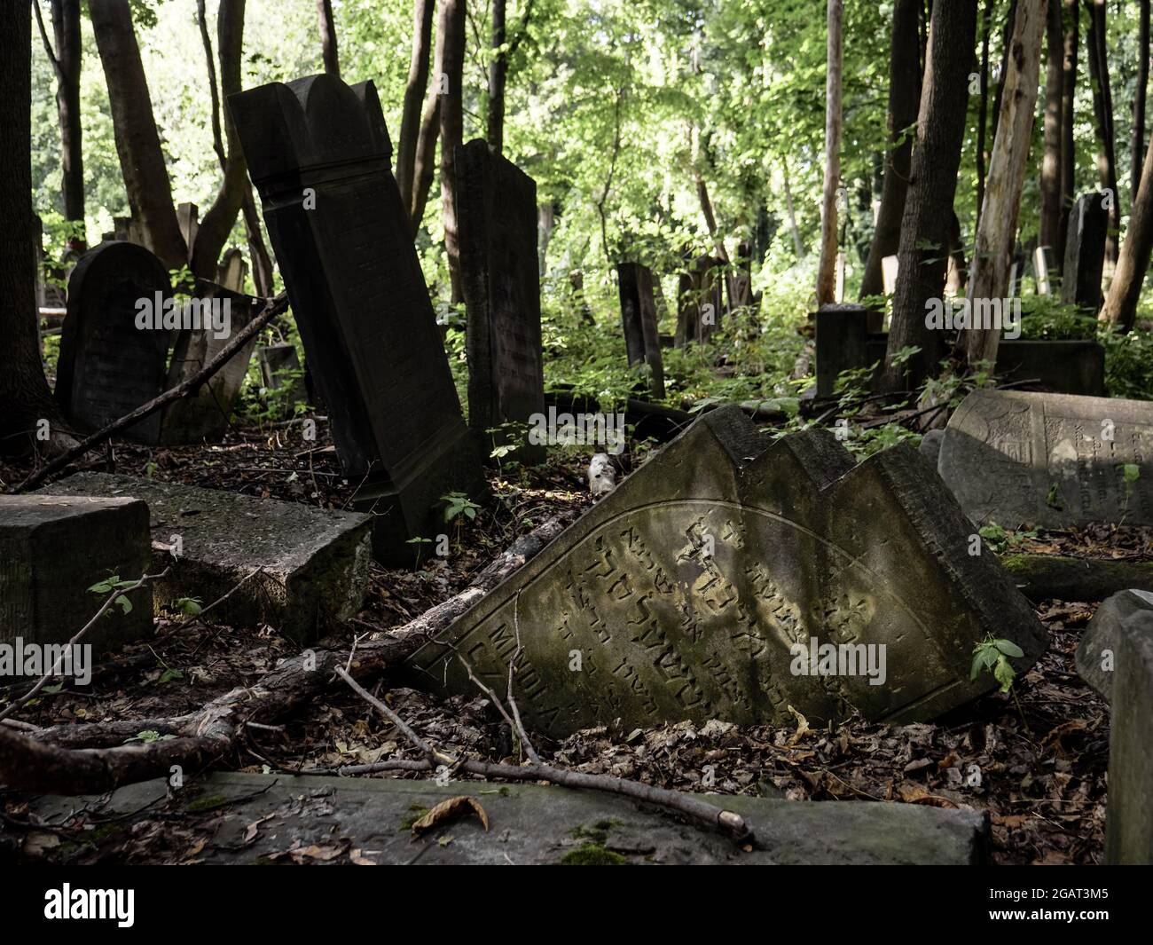 Varsavia, Polonia. 22 agosto 2019. Tombe antiche, abbandonate e distrutte nel cimitero ebraico di Varsavia (Cmentarz Zydowki) Foto Stock