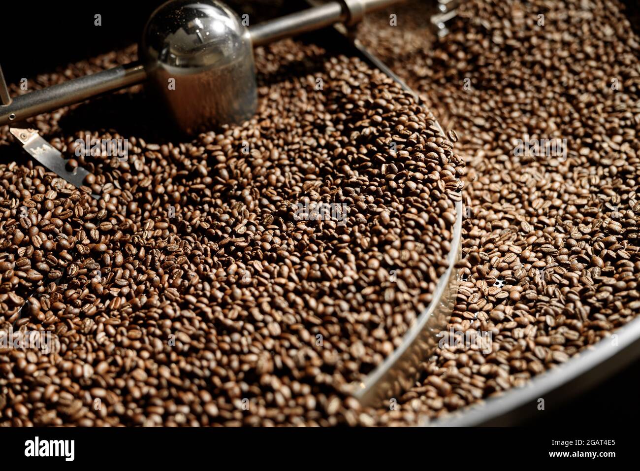 Lavorazione del caffè. Torrefazione, tostatura e fagioli freschi Foto Stock