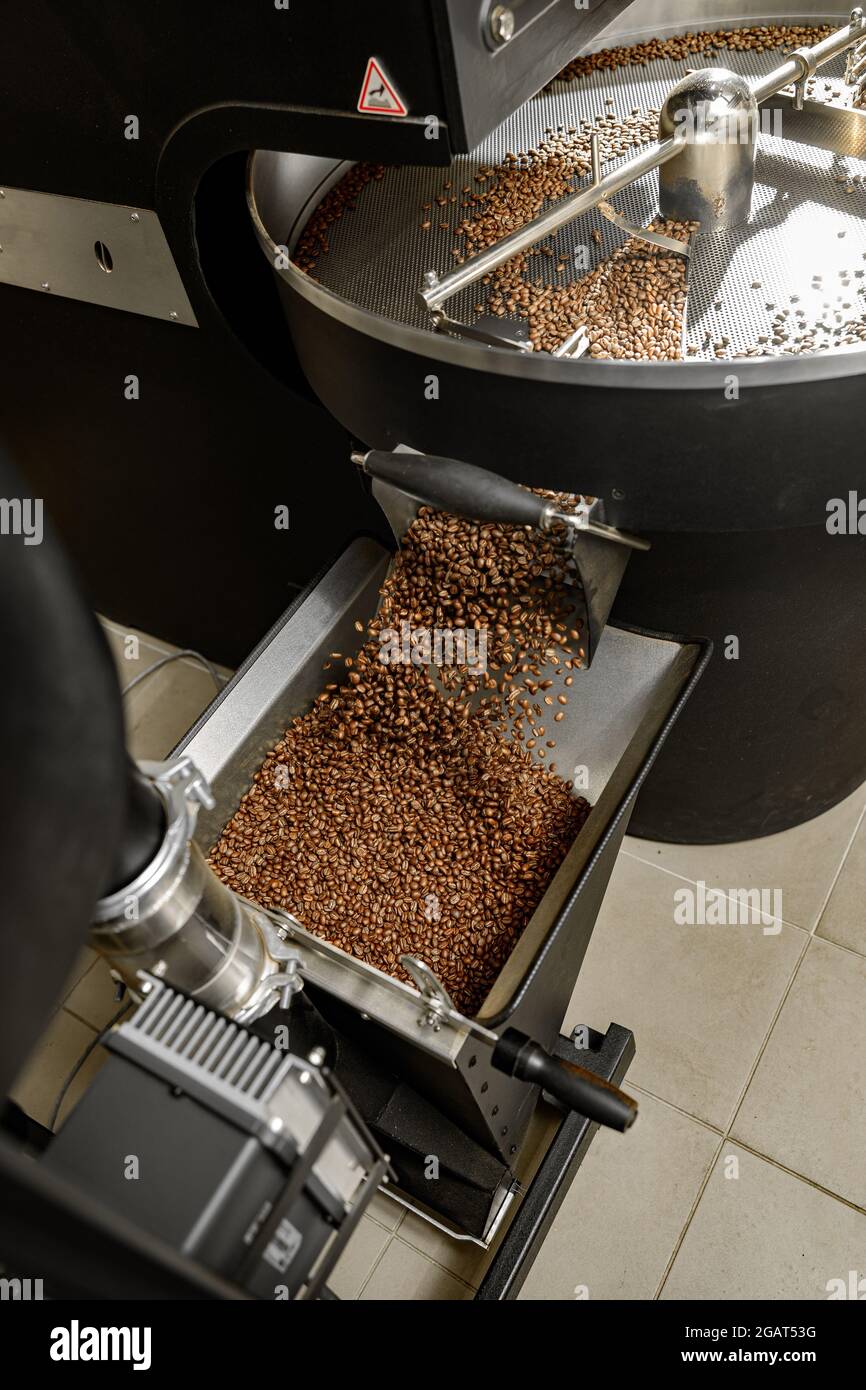 Lavorazione del caffè. Torrefazione, tostatura e fagioli freschi Foto Stock