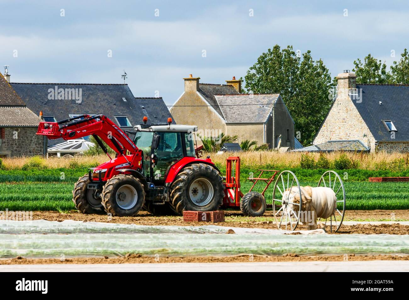 Trattore in una fattoria, dipartimento della Manica, Cotentin, Normandia, Francia Foto Stock