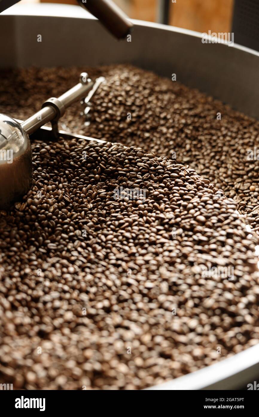 Lavorazione del caffè. Torrefazione, tostatura e fagioli freschi Foto Stock