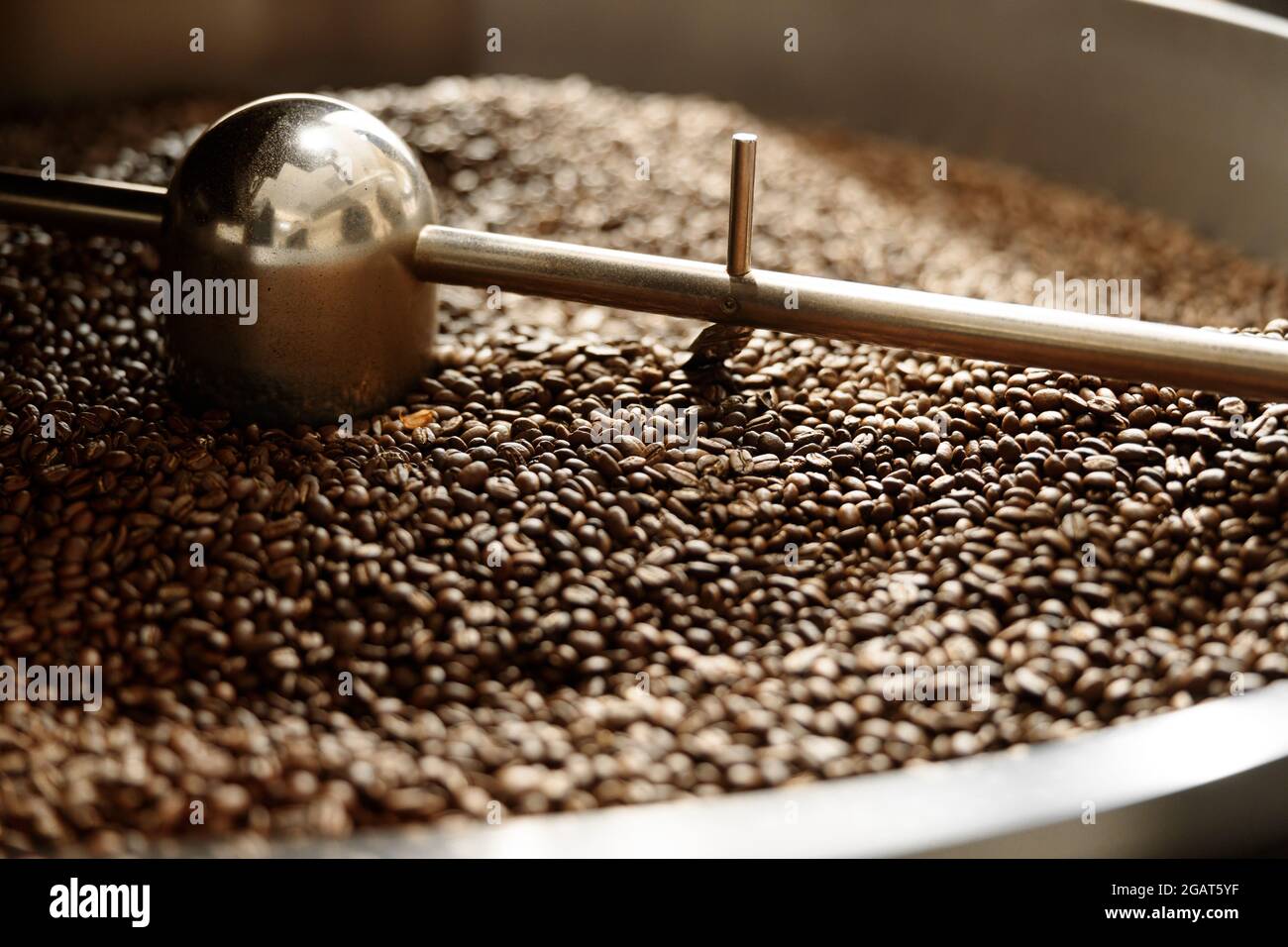 Lavorazione del caffè. Torrefazione, tostatura e fagioli freschi Foto Stock