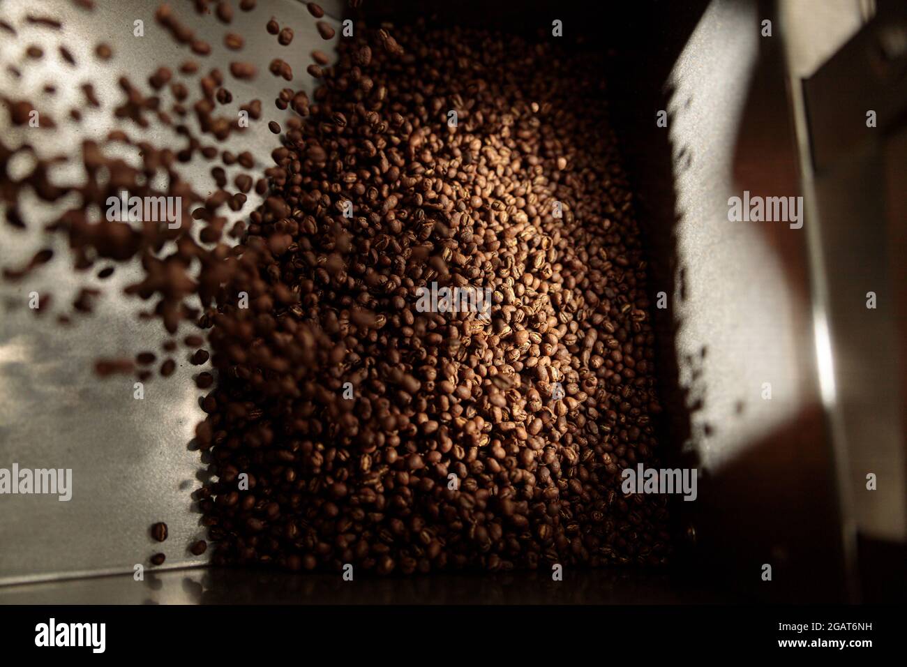 Lavorazione del caffè. Torrefazione, tostatura e fagioli freschi Foto Stock