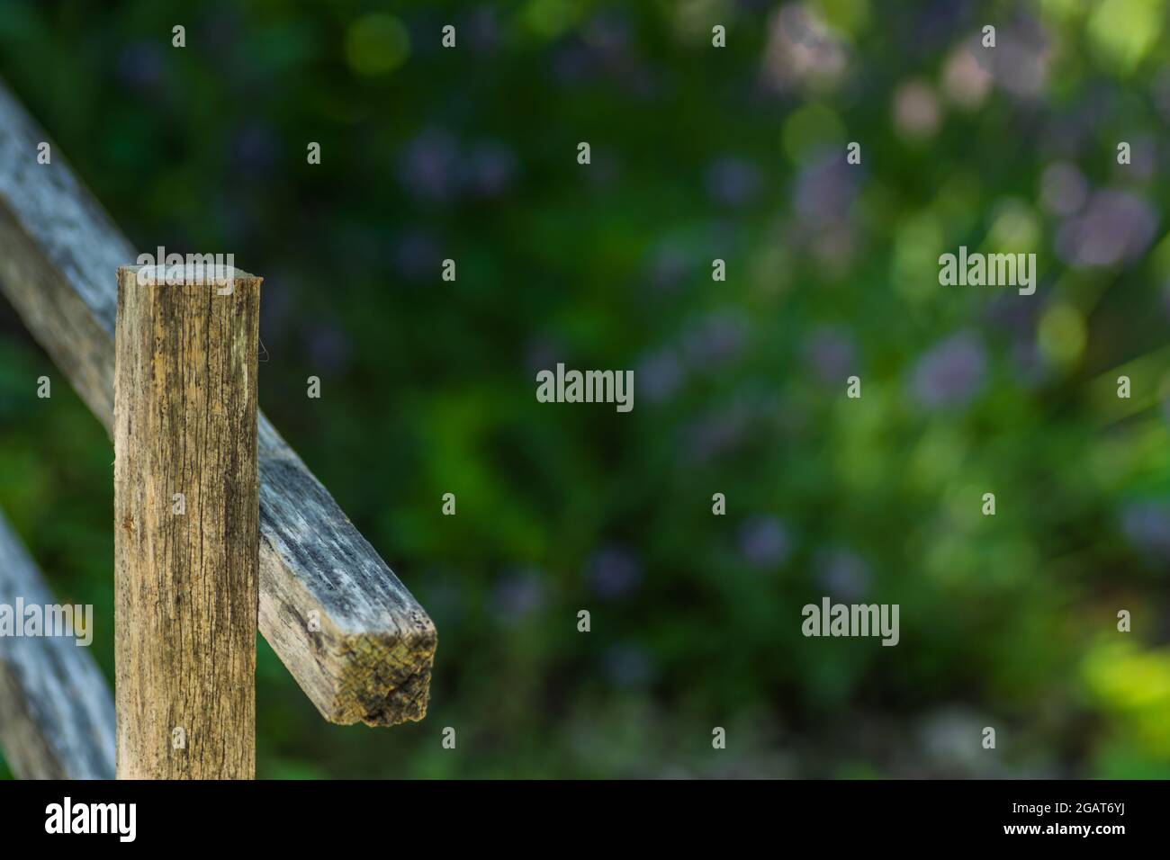 recinzione wodden da un giardino di erbe nella natura Foto Stock