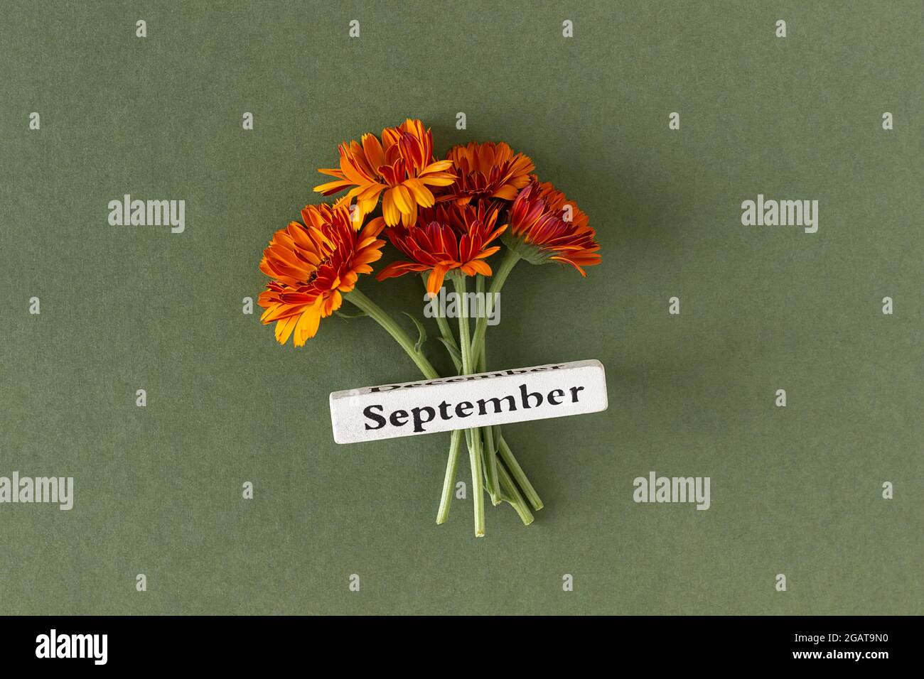 Calendario autunno mese settembre e fiori d'arancio su sfondo verde. Vista dall'alto, disposizione piatta. Concetto minimo Ciao autunno. Modello per il tuo progetto, saluto Foto Stock