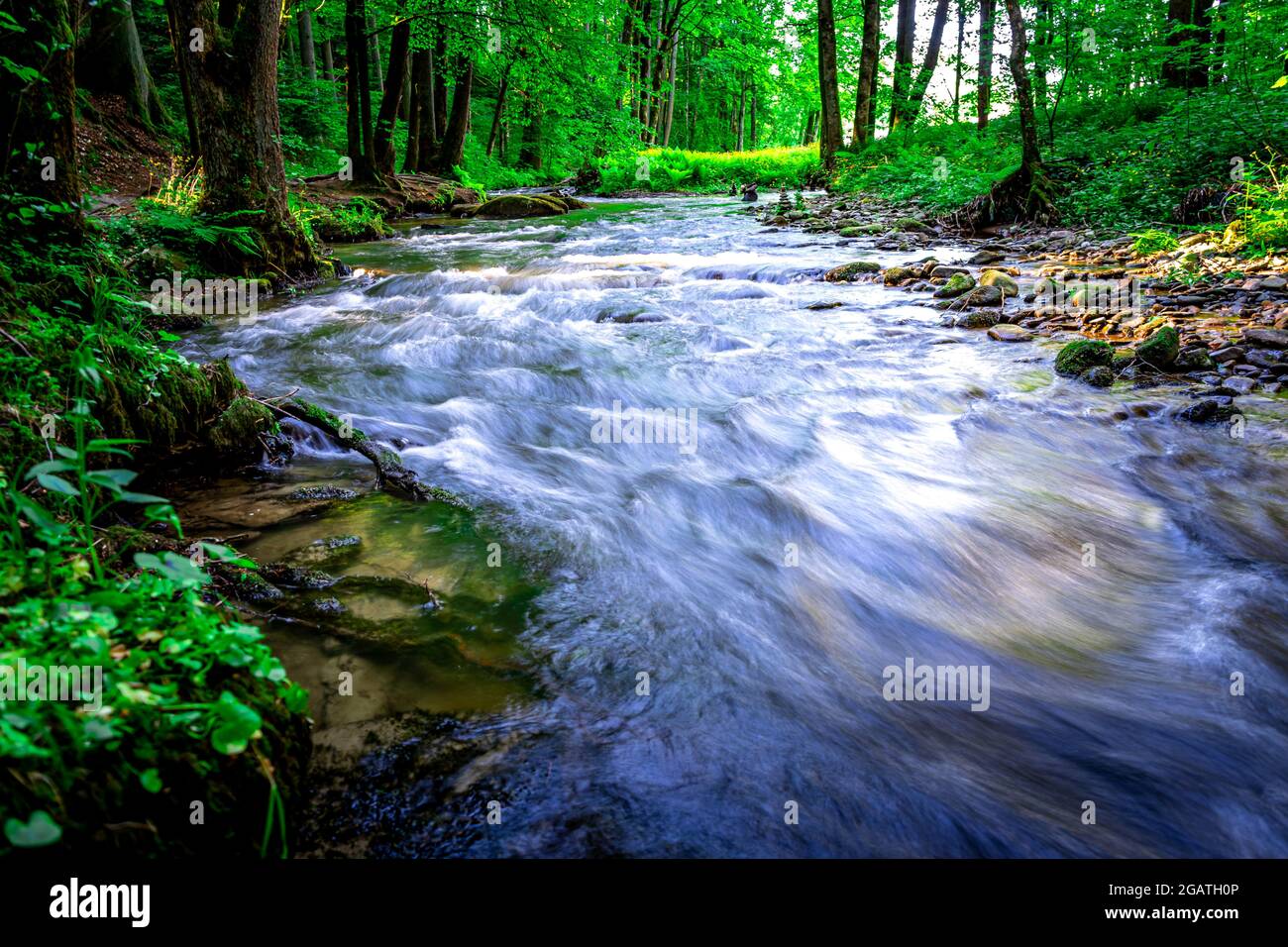 Fai un'escursione attraverso la valle di Perlbach vicino a Neukirchen, nella foresta bavarese tedesca Foto Stock