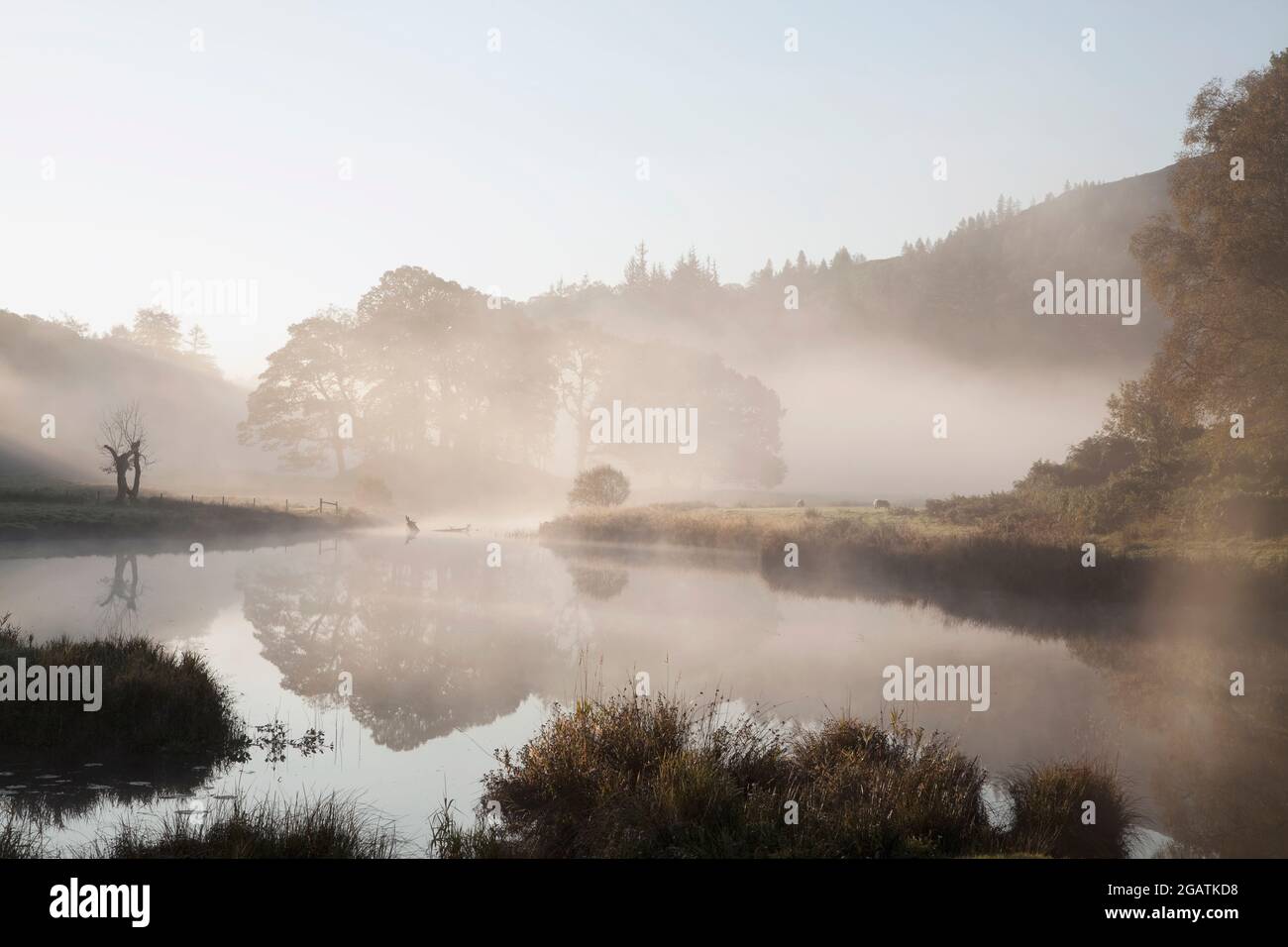 Fiume Barthay vicino Elter Water in una valle foggy Langdale, distretto inglese del lago Foto Stock