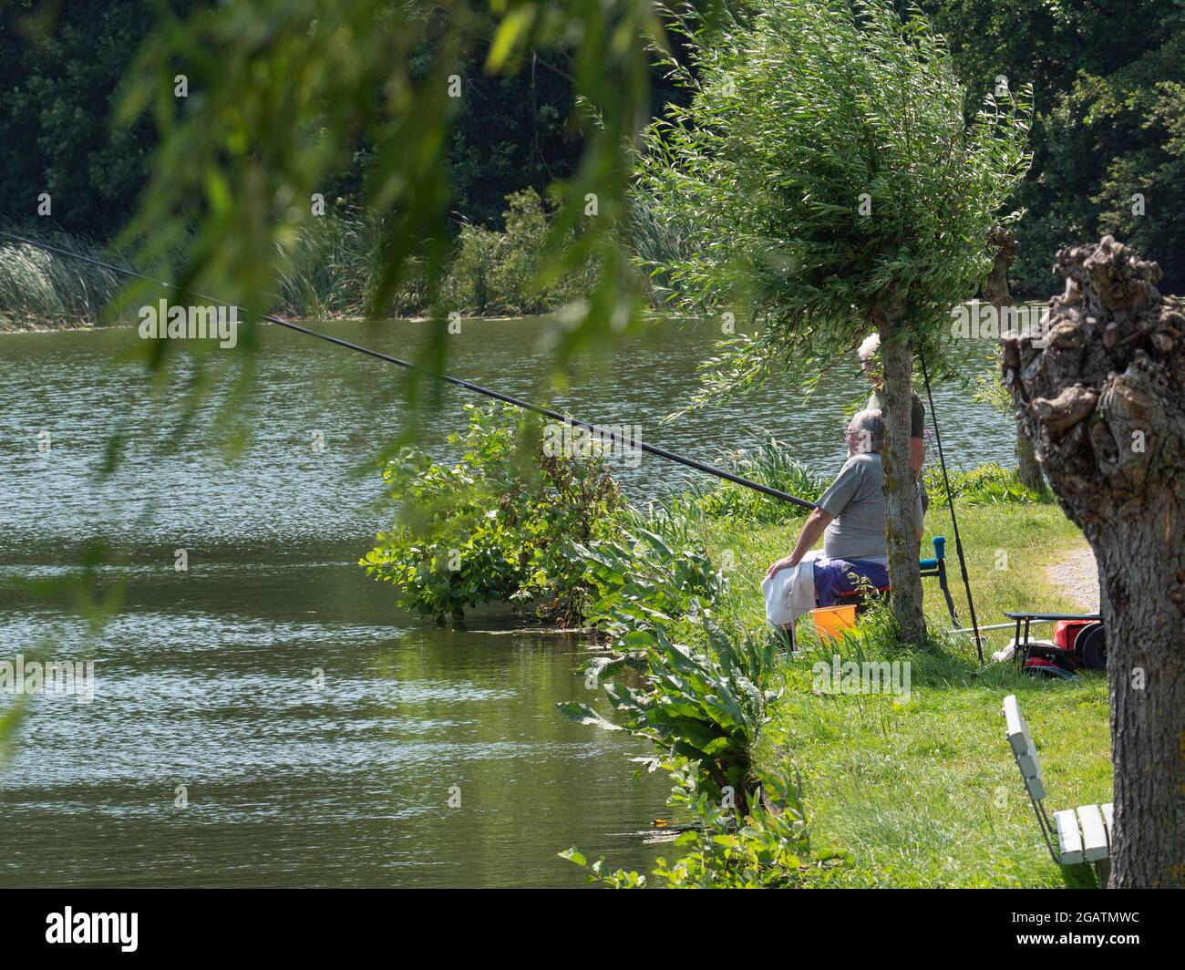 Berlare, Belgio, 22 luglio 2021, un uomo grigio più anziano sta pescando su un albero sul lato dell'acqua Foto Stock