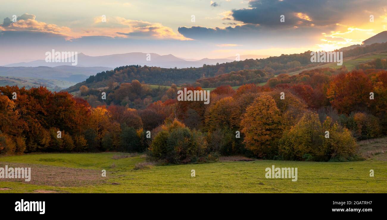 campagna paesaggio montano al tramonto. splendido paesaggio rurale in autunno. campi e prati sulle colline ondulate alla luce della sera. alberi in colorato fo Foto Stock