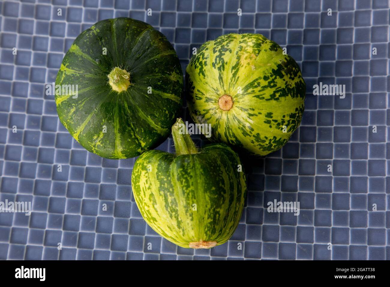 Pattyan Squash, Variety Green Disc, presentato su un piatto blu Foto Stock