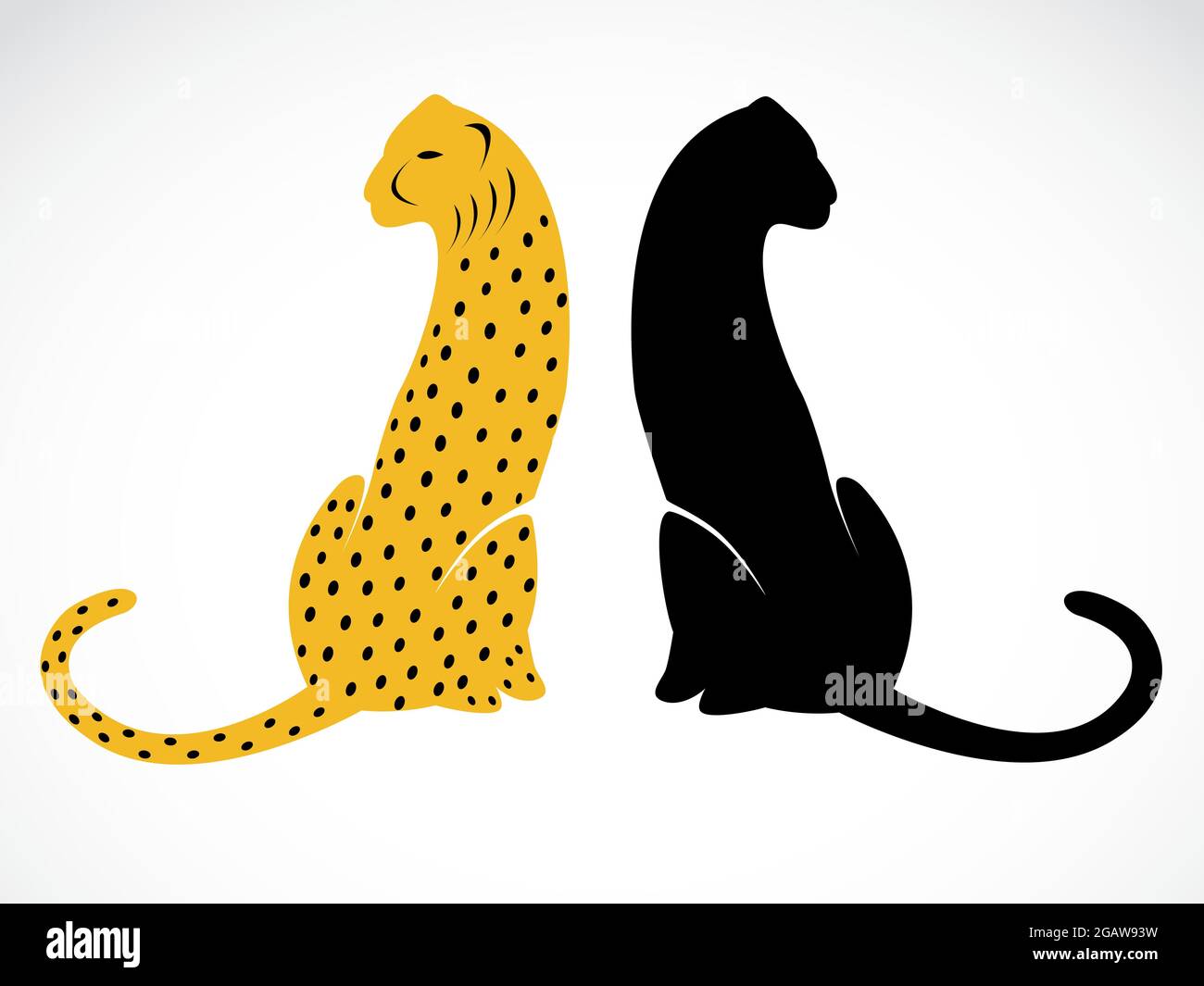 Immagine vettoriale di ghepardo su sfondo bianco. Illustrazione vettoriale a livelli facilmente modificabile. Animali selvatici. Illustrazione Vettoriale
