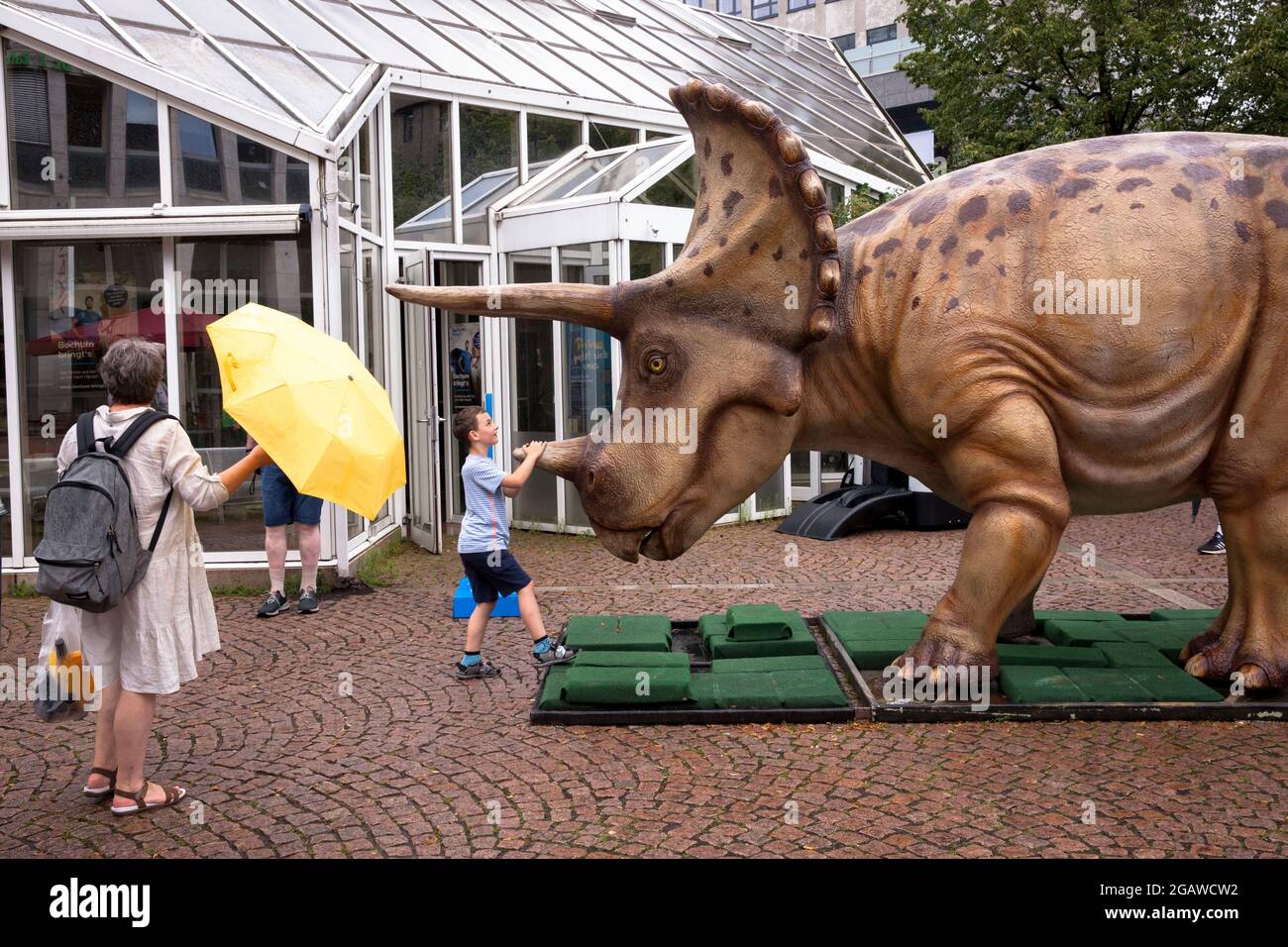 Modelli di dinosauri a grandezza naturale esposti in varie località del centro di Bochum, qui: Triceratops, Nord Reno-Westfalia, Germania. Lebengro Foto Stock