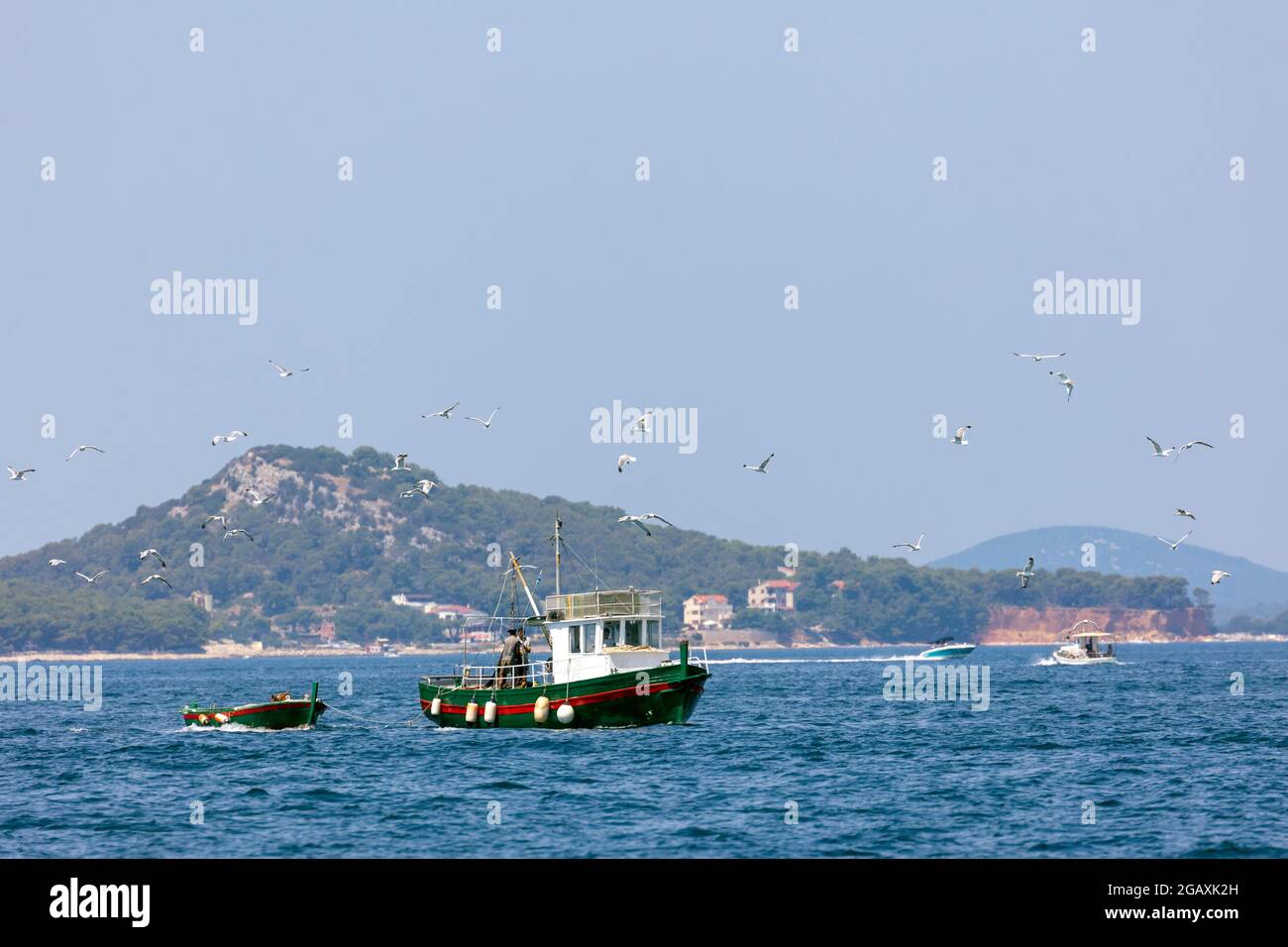 Pesca barca e gabbiani Foto Stock