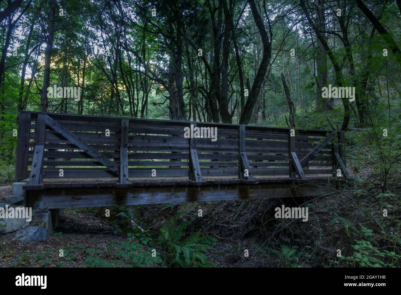 Passerella in legno che attraversa Peters Creek. Long Ridge Open Space Preserve, Santa Clara County, California, Stati Uniti. Foto Stock