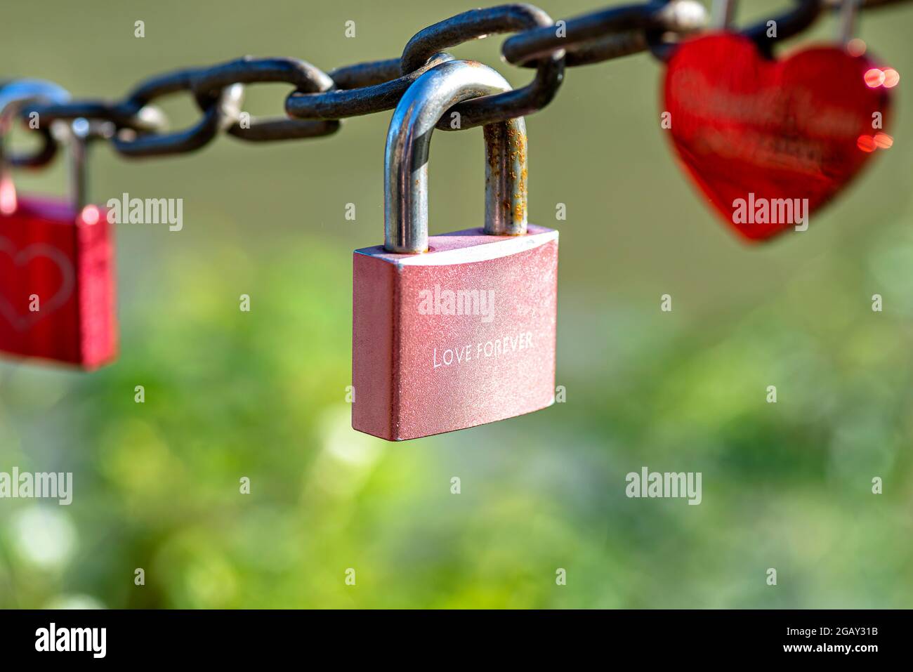 Un lucchetto rosa appeso su una catena incisa con le parole amore per sempre. Foto Stock