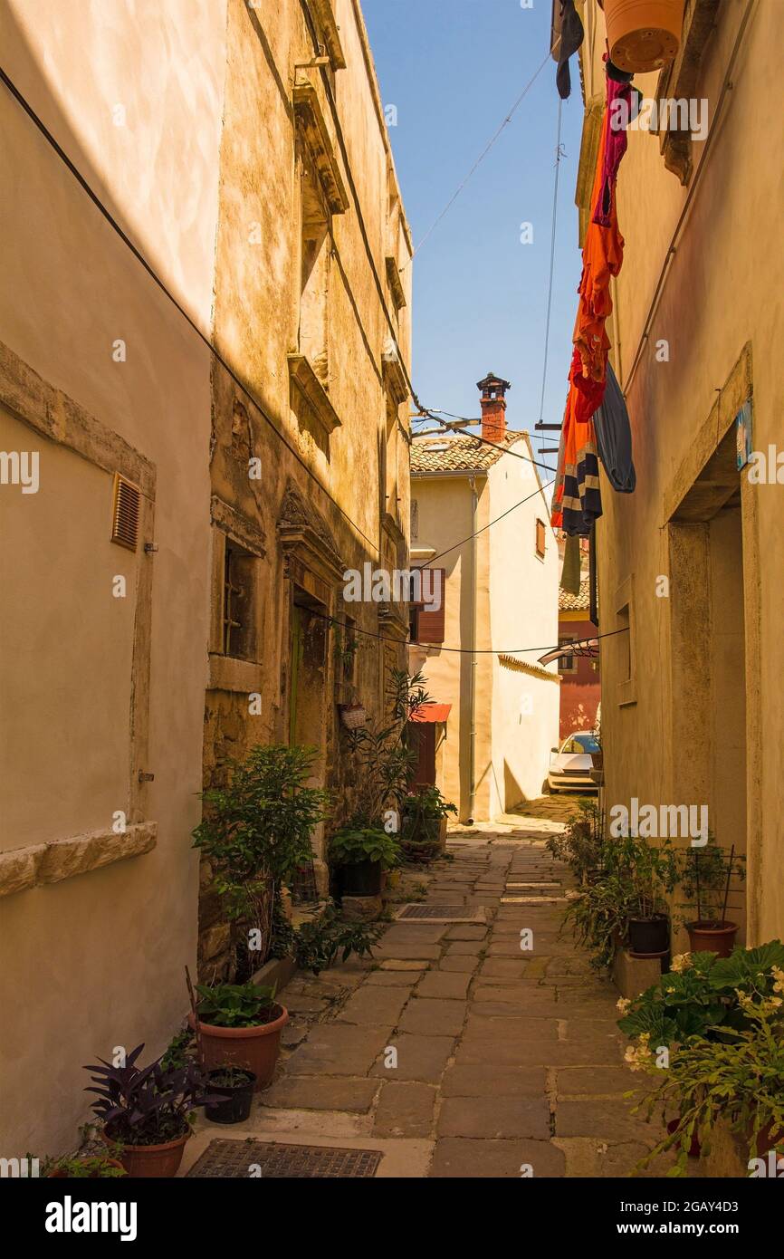 Una strada residenziale nello storico borgo medievale collinare di Buje in Istria, Croazia Foto Stock