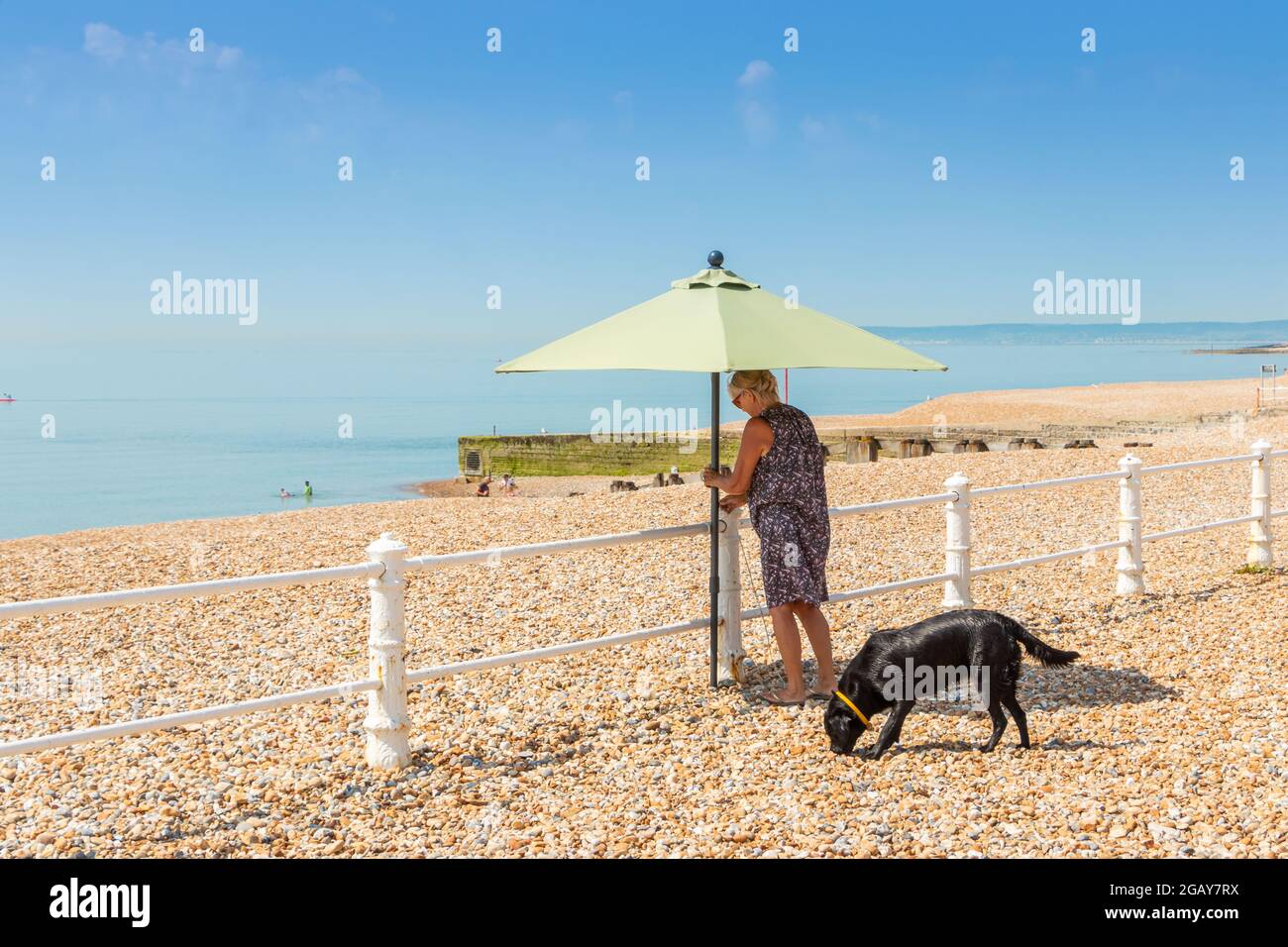 L'uomo e il cane hanno messo in su l'ombra del sole sul fronte del mare St Leonards sul mare, Sussex orientale Foto Stock